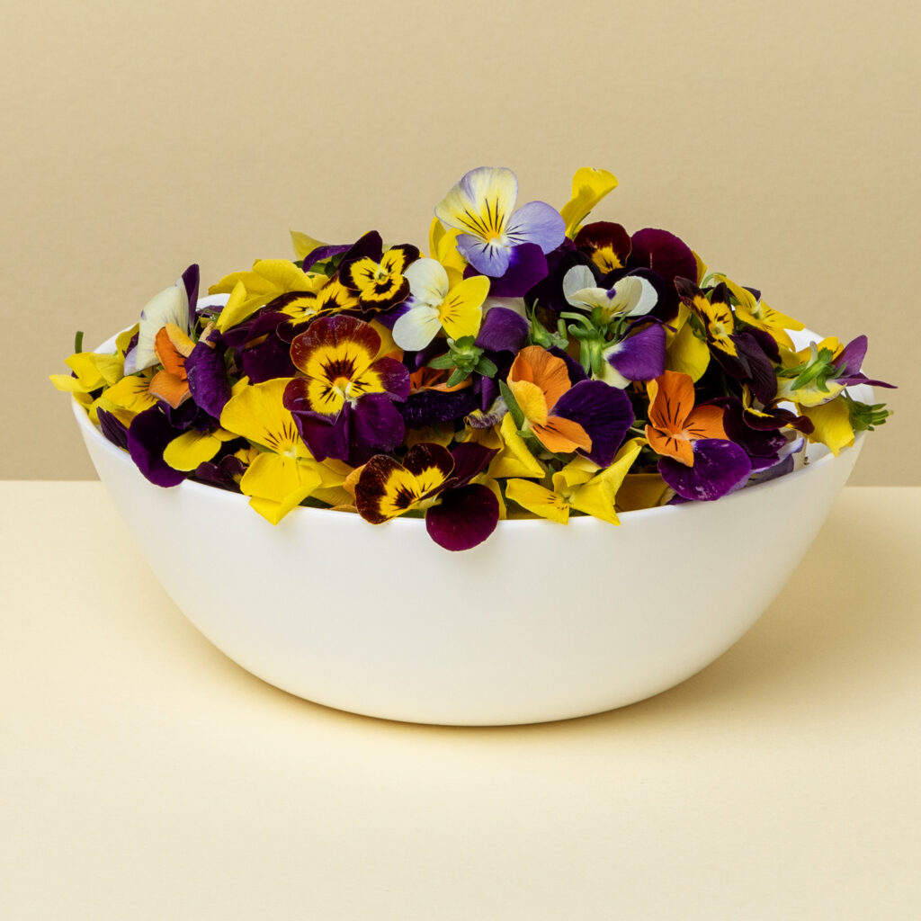 Edible Viola Flowers