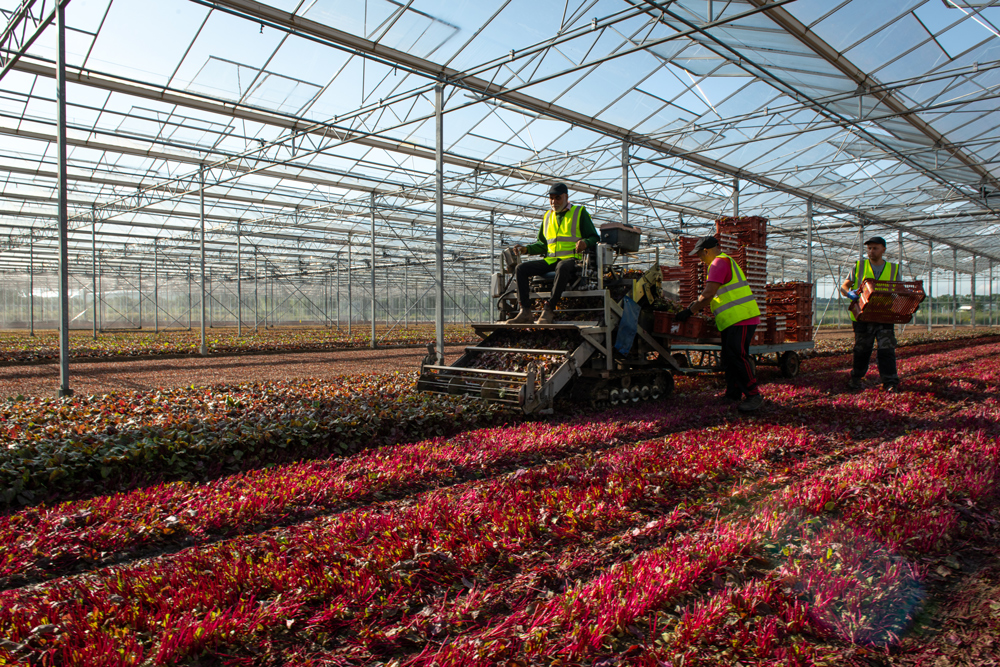 Farm Safety With Blackdown Growers