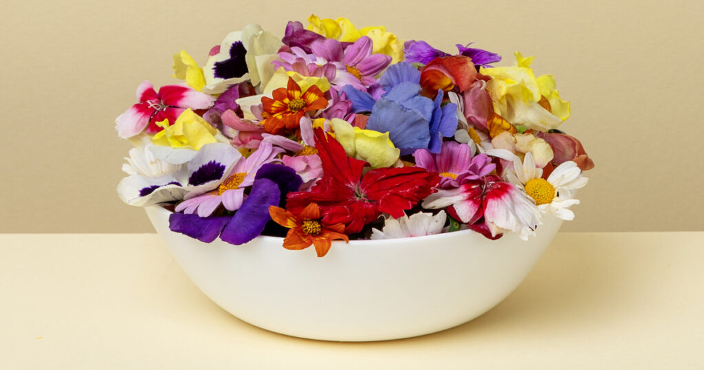 Edible Flowers