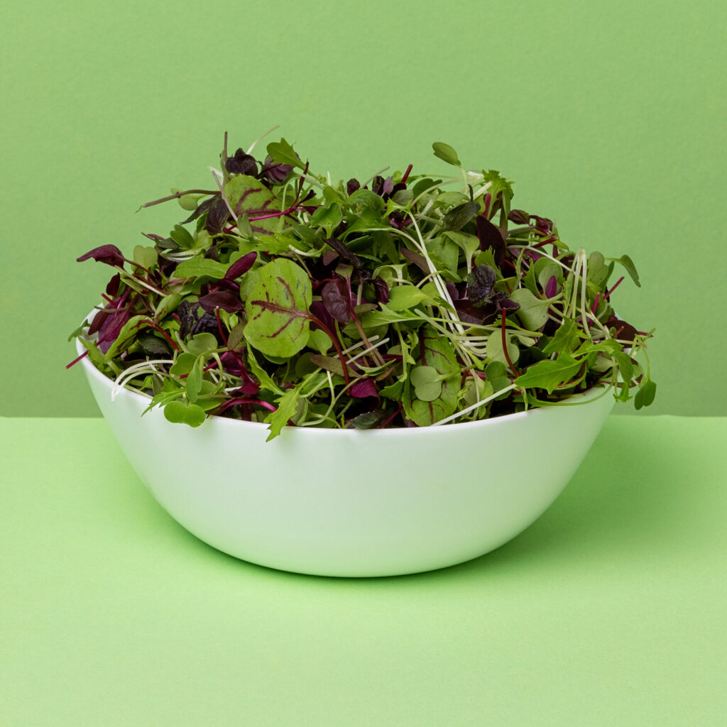 Micro Salad Mix