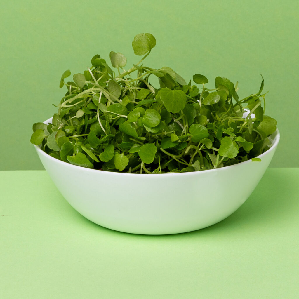 Micro Watercress