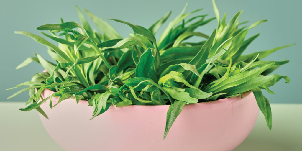 Autumn Herb Picks - Tarragon