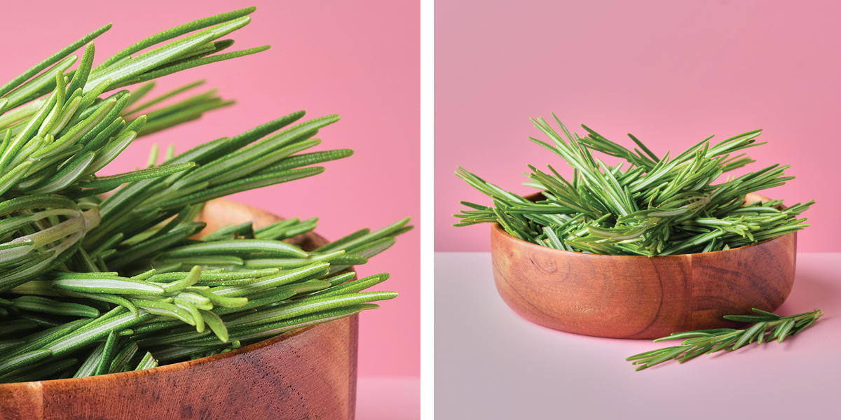 Autumn Herbs - Rosemary