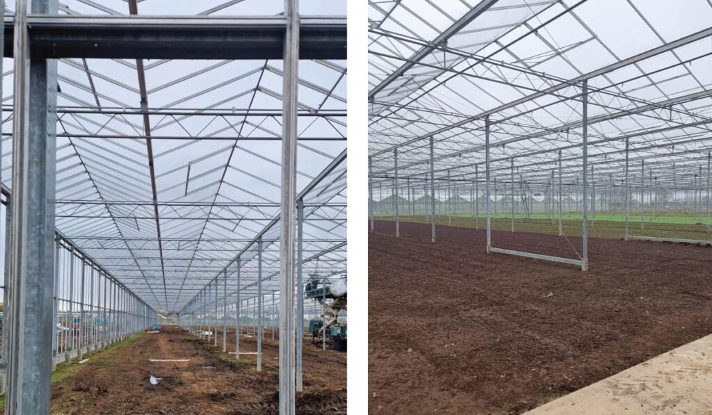 UK Indoor Glasshouse Development